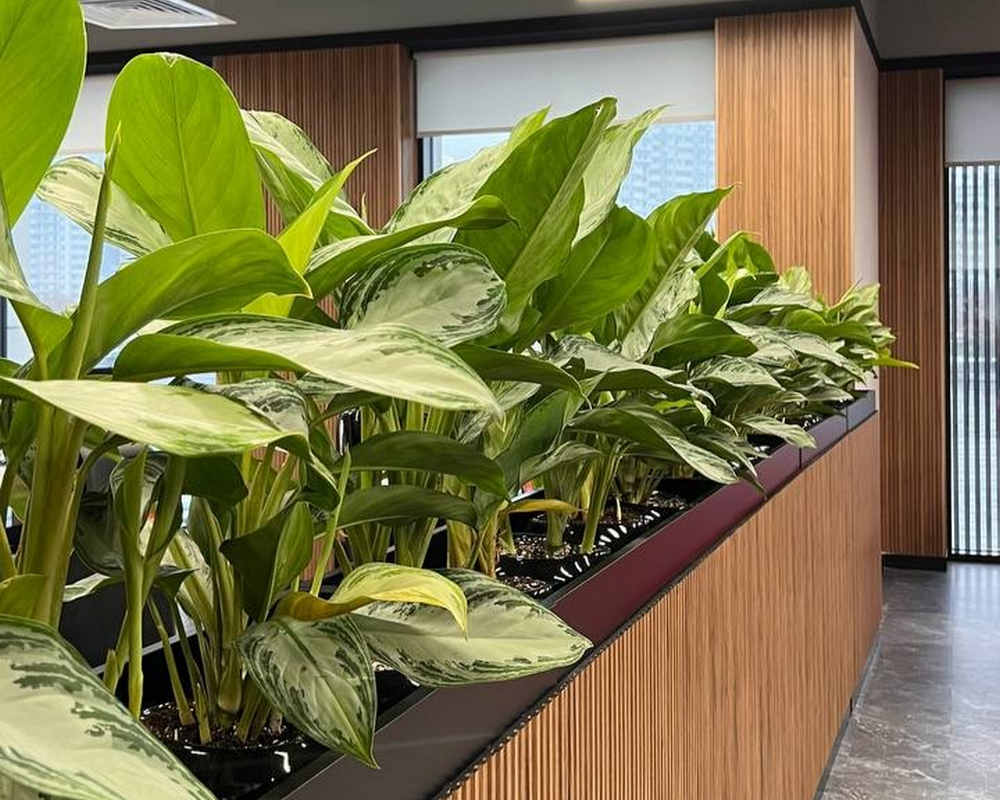 Панель МДФ ACUPAN 61.08.122505.94 зубья 12х122х2760 мм Эльм коричневый